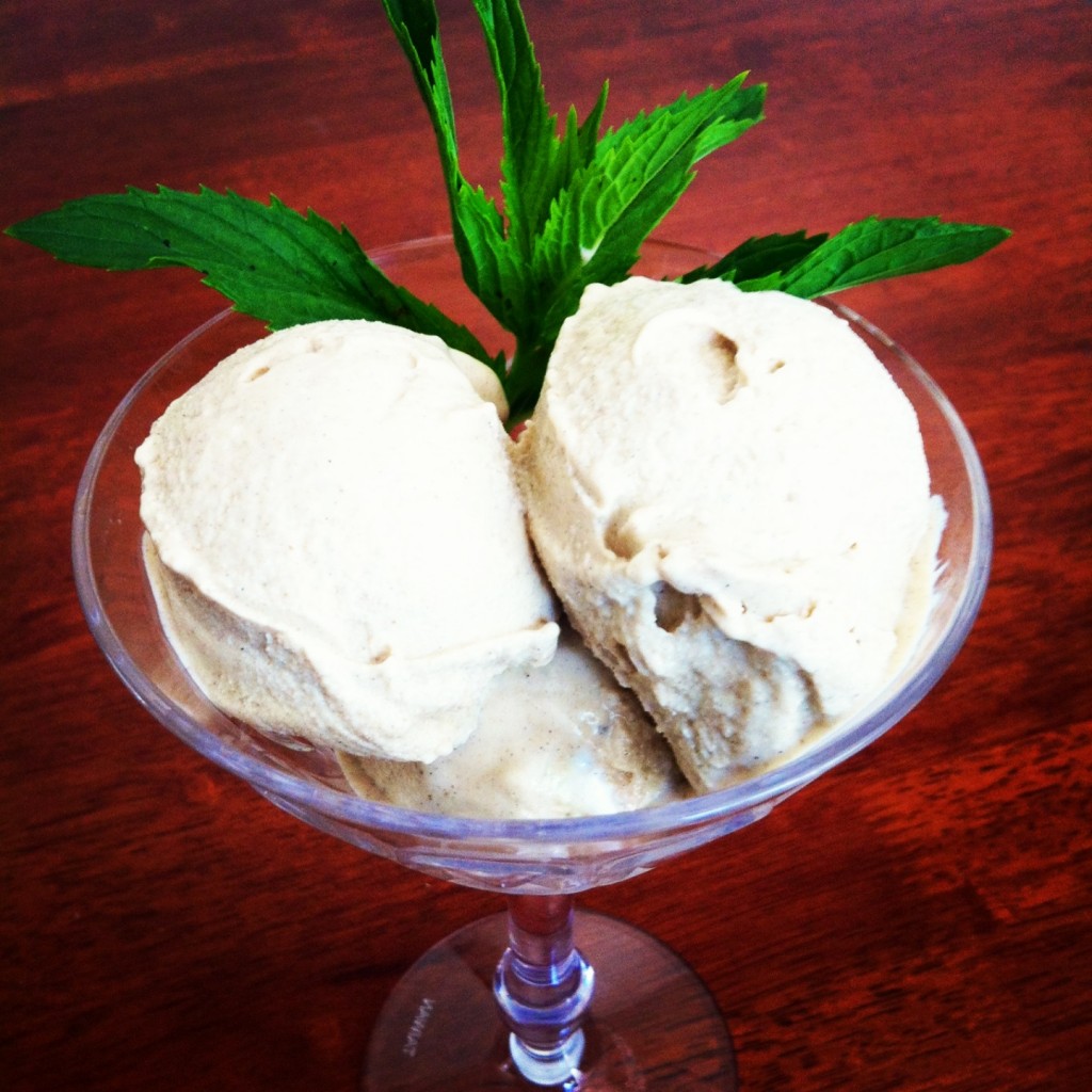 BEST HEALTHY VANILLA ICE CREAM visual data 8