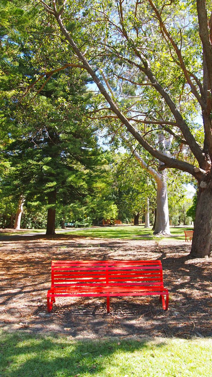 Kings Park Earthing